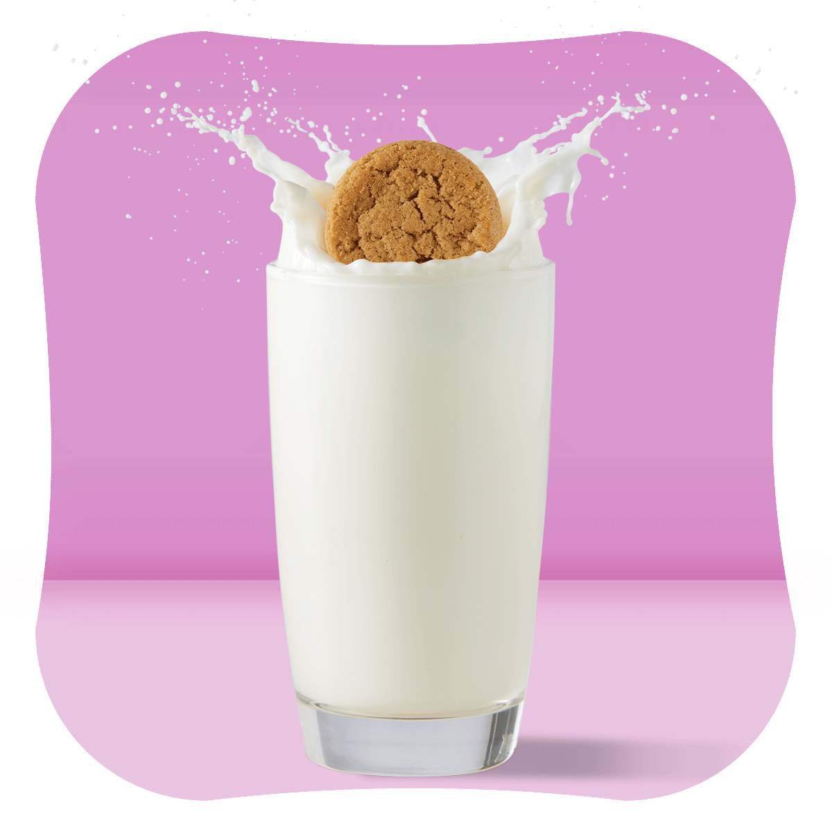 Wholesale - Snickerdoodle It's Just A Cookie!