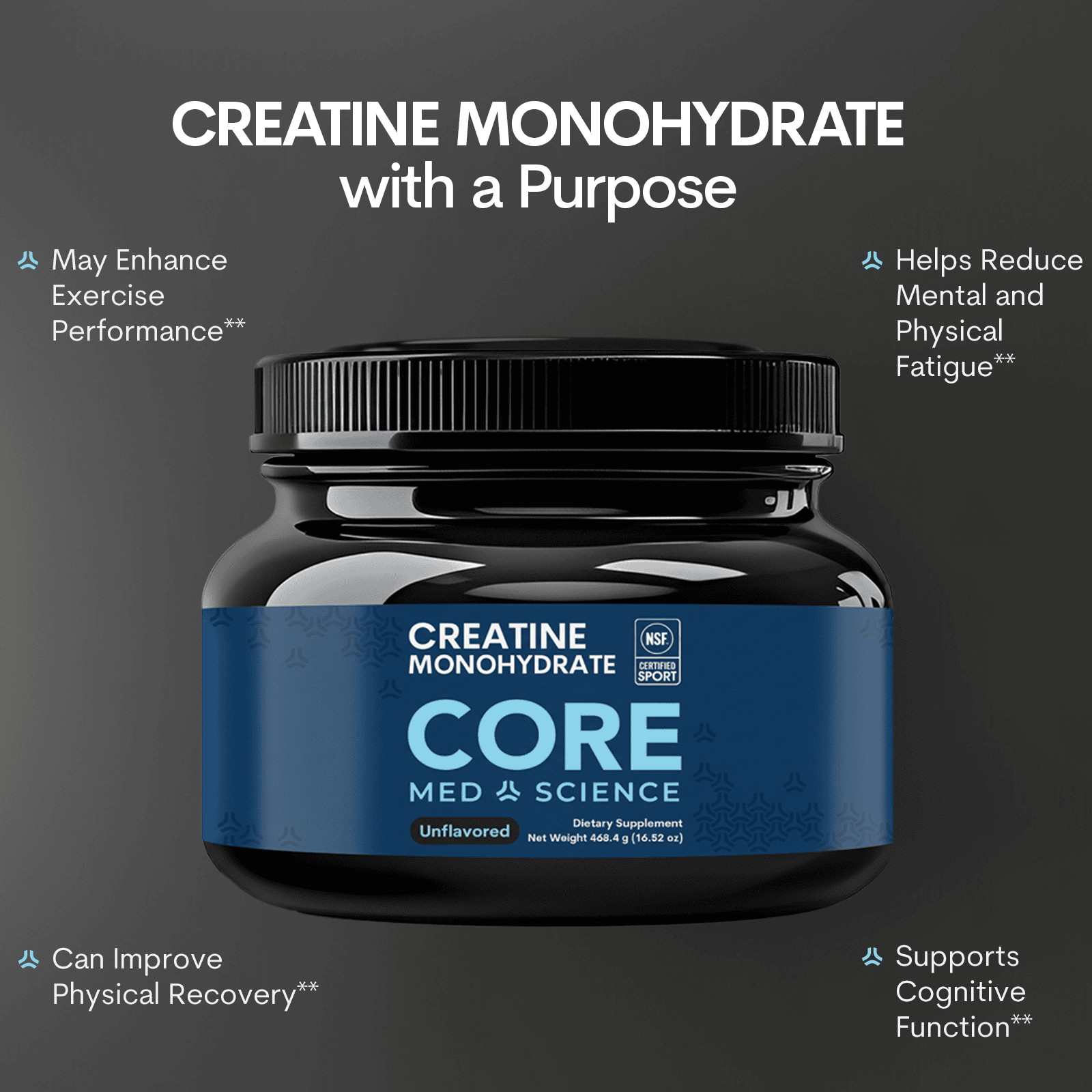 Creatine Monohydrate (Wholesale)