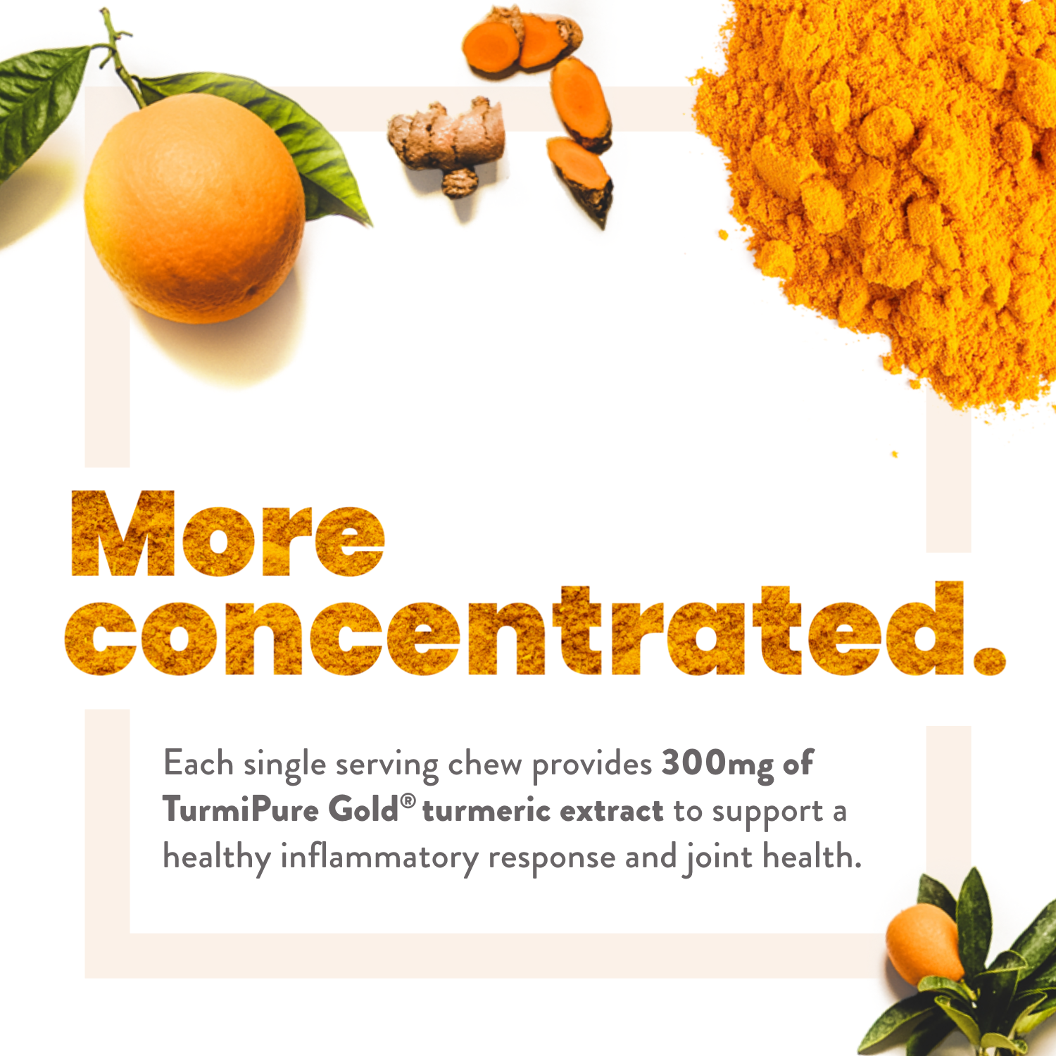 Humann Turmeric Chews