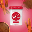 PUR Cinnamon Mints Tin 30g / 1.05oz (12ct)
