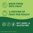 GoGo SqueeZ Apple Apple Applesauce Pouch 3.2oz (48ct)