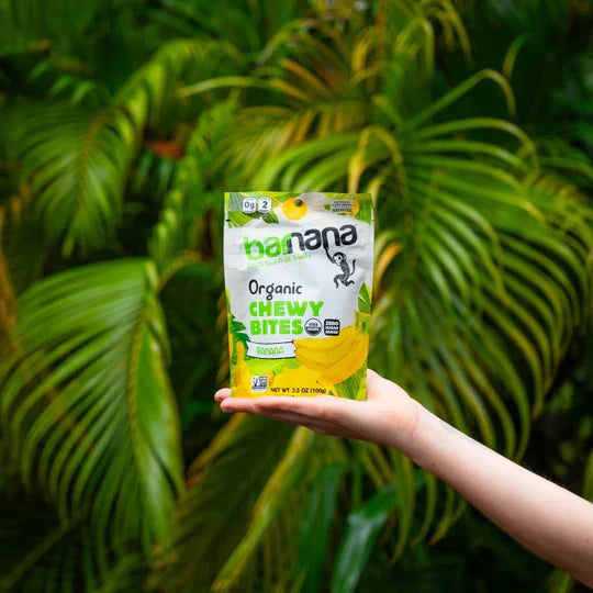 (100g, 12 Pack) Organic ORIGINAL Banana Bites