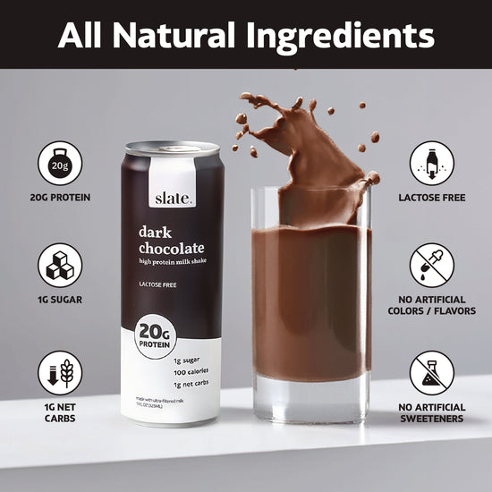 Dark Chocolate Shake 20G – 12 Pack