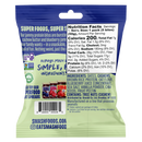 Cashew Butter & Blueberry Jammy Protein Bites | Case of 48 Bags