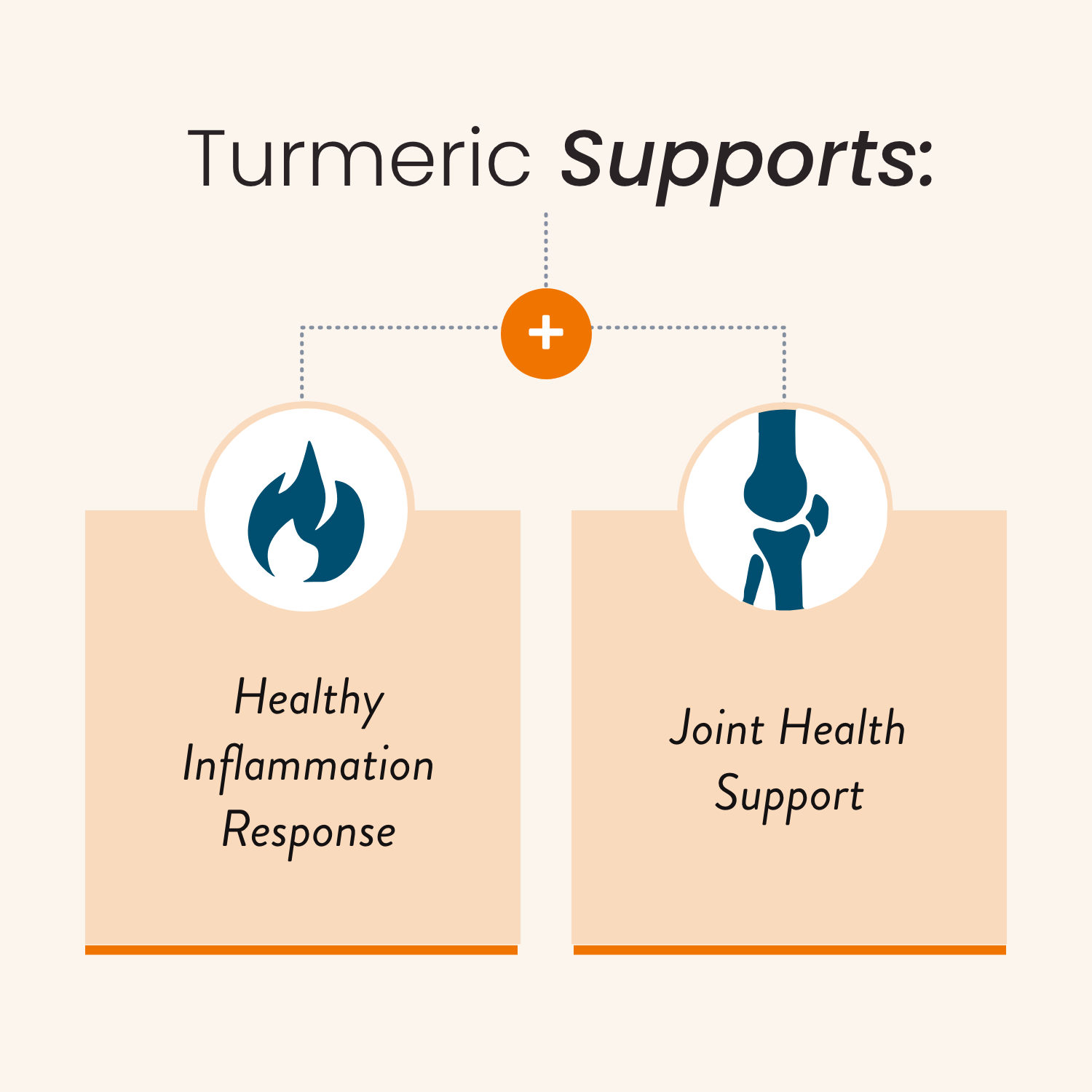 Humann Turmeric Chews