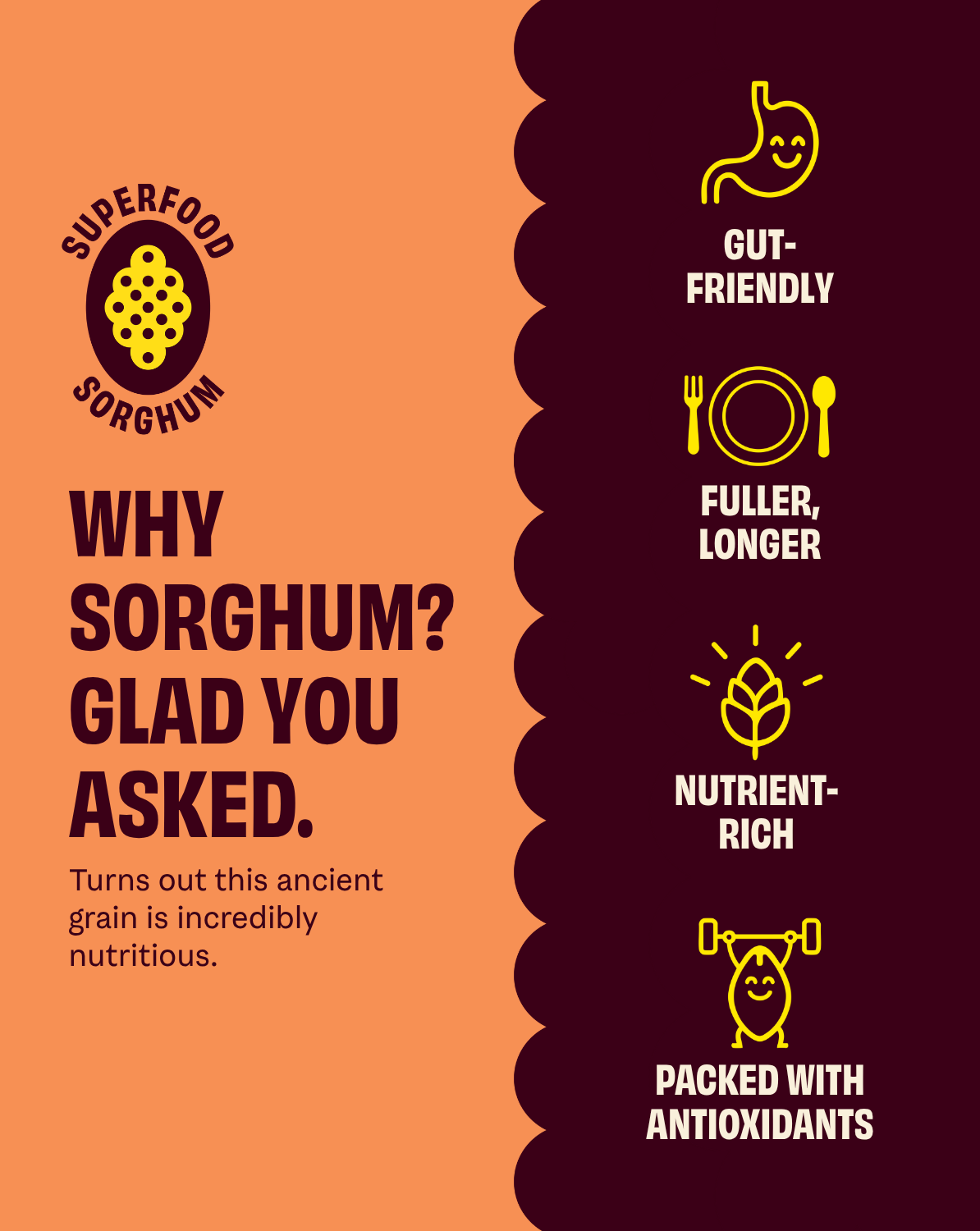 COB - Seriously Cheesy