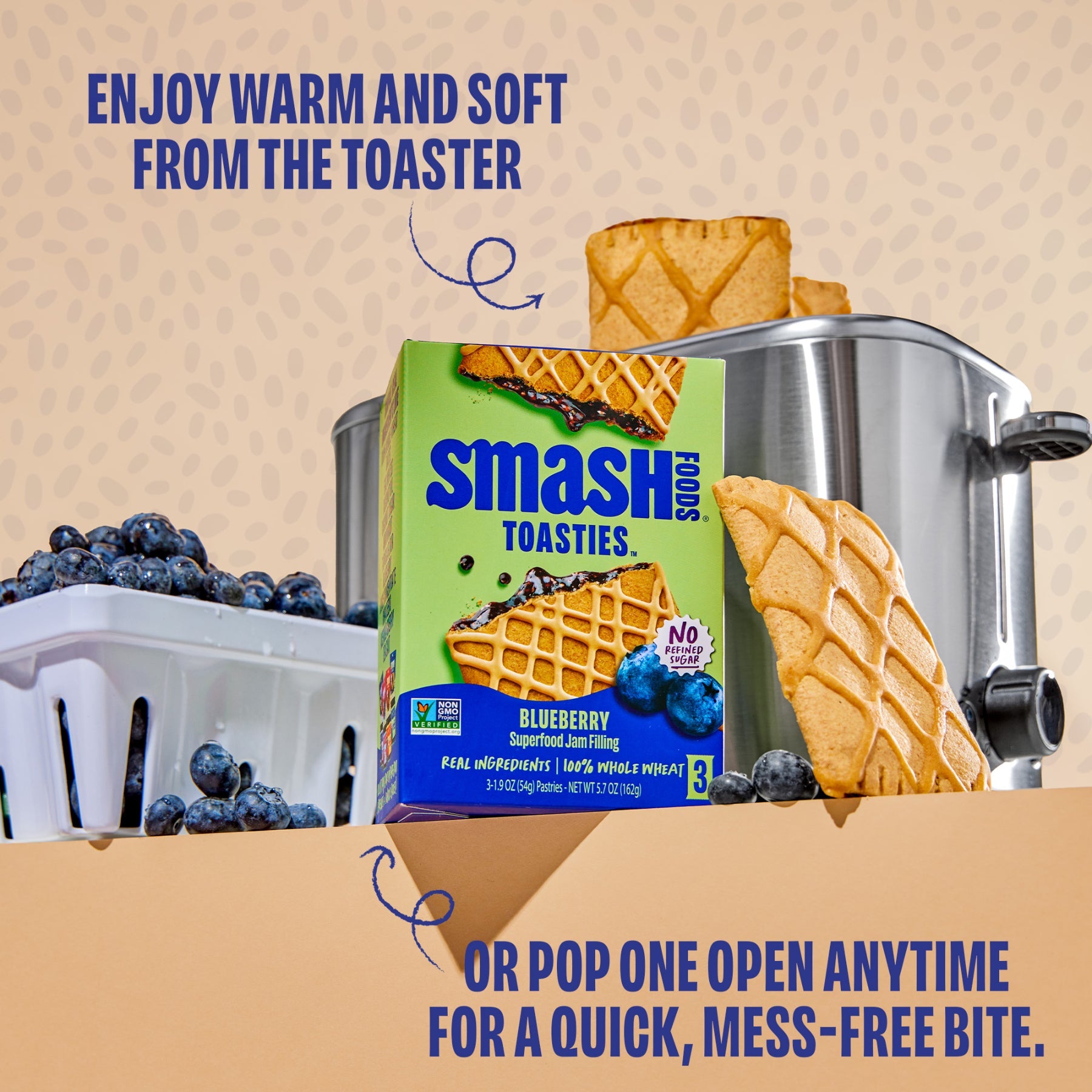 Blueberry Toasties 3 ct | Case of 6 Boxes