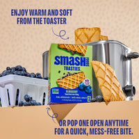 Blueberry Toasties 3 ct | Case of 6 Boxes