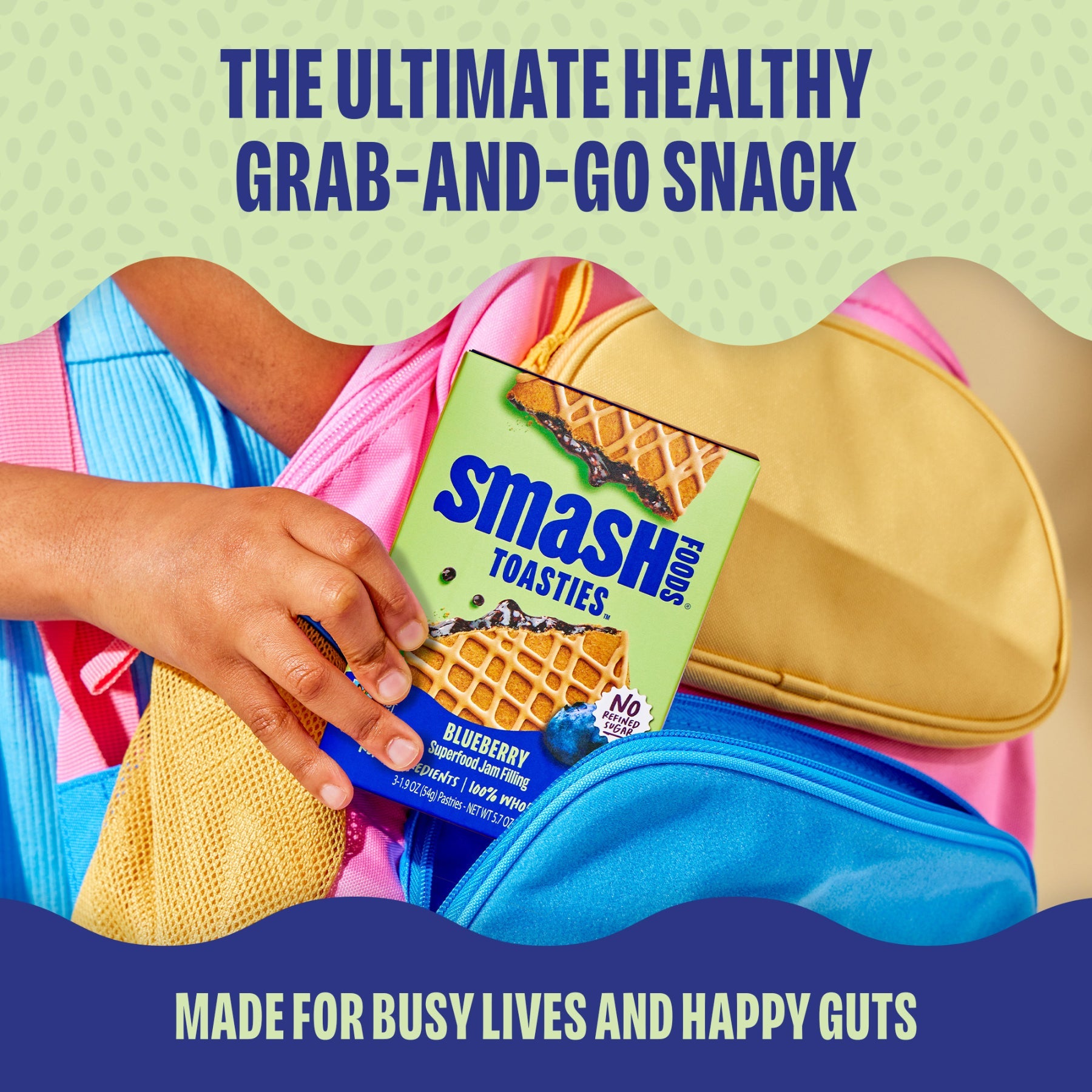 Blueberry Toasties 3 ct | Case of 6 Boxes