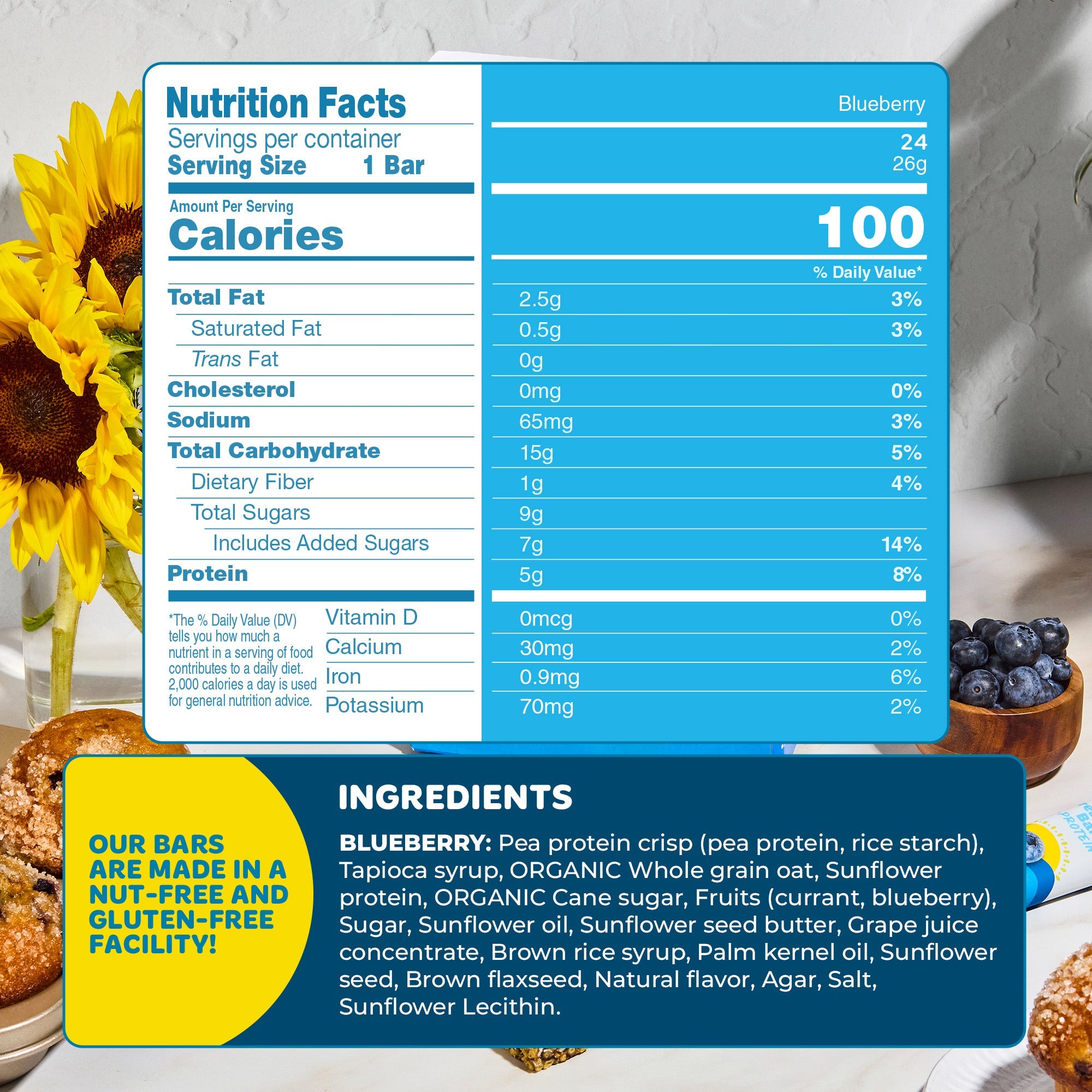 Blake's Breakfast Bars + 5g Protein, Blueberry, 30 Bars