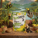 (100g, 12 Pack) Organic ORIGINAL Banana Bites