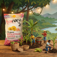 (6 Pack) Pink Salt Plantain Chips 2oz.