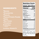 Chocolate PB Protein - Wholesale