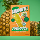 HUNDY! Pineapple 24 Pack