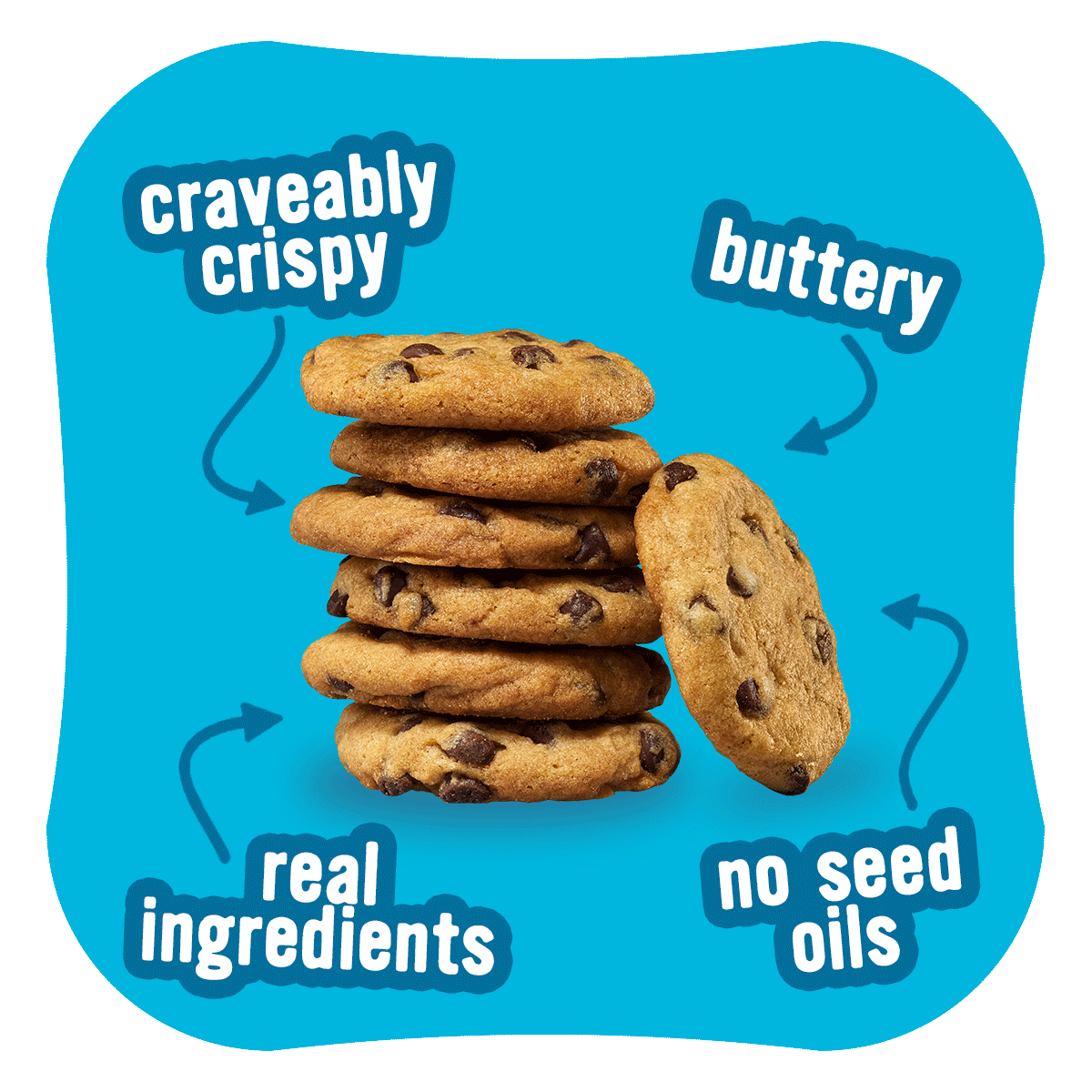 Wholesale - Chocolate Chip It's Just A Cookie!