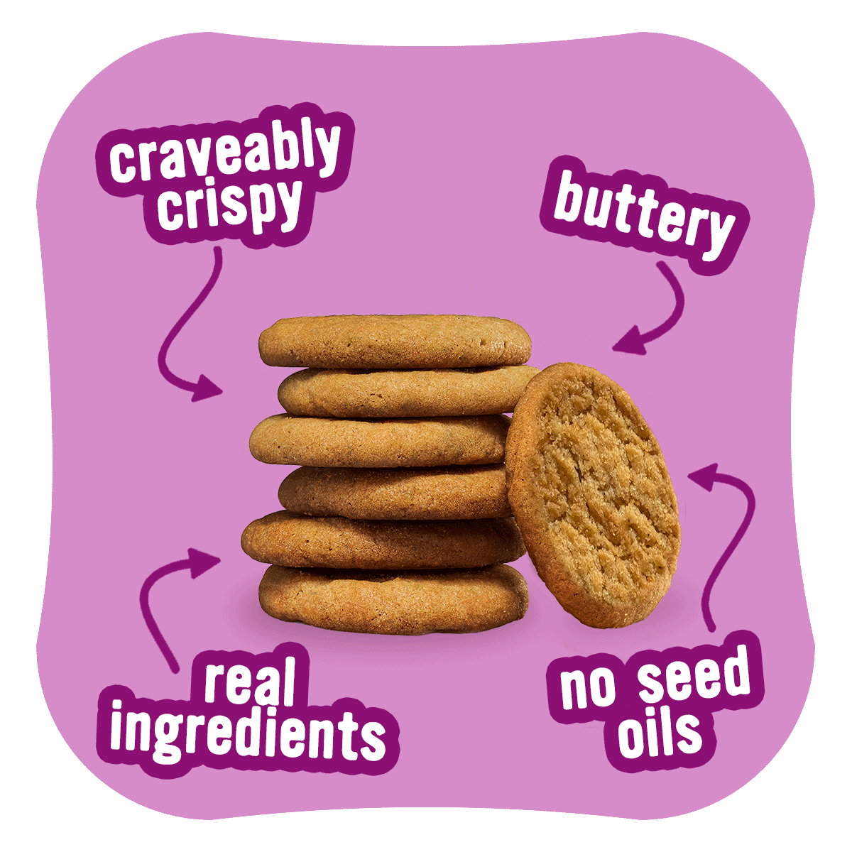 Wholesale - Snickerdoodle It's Just A Cookie!