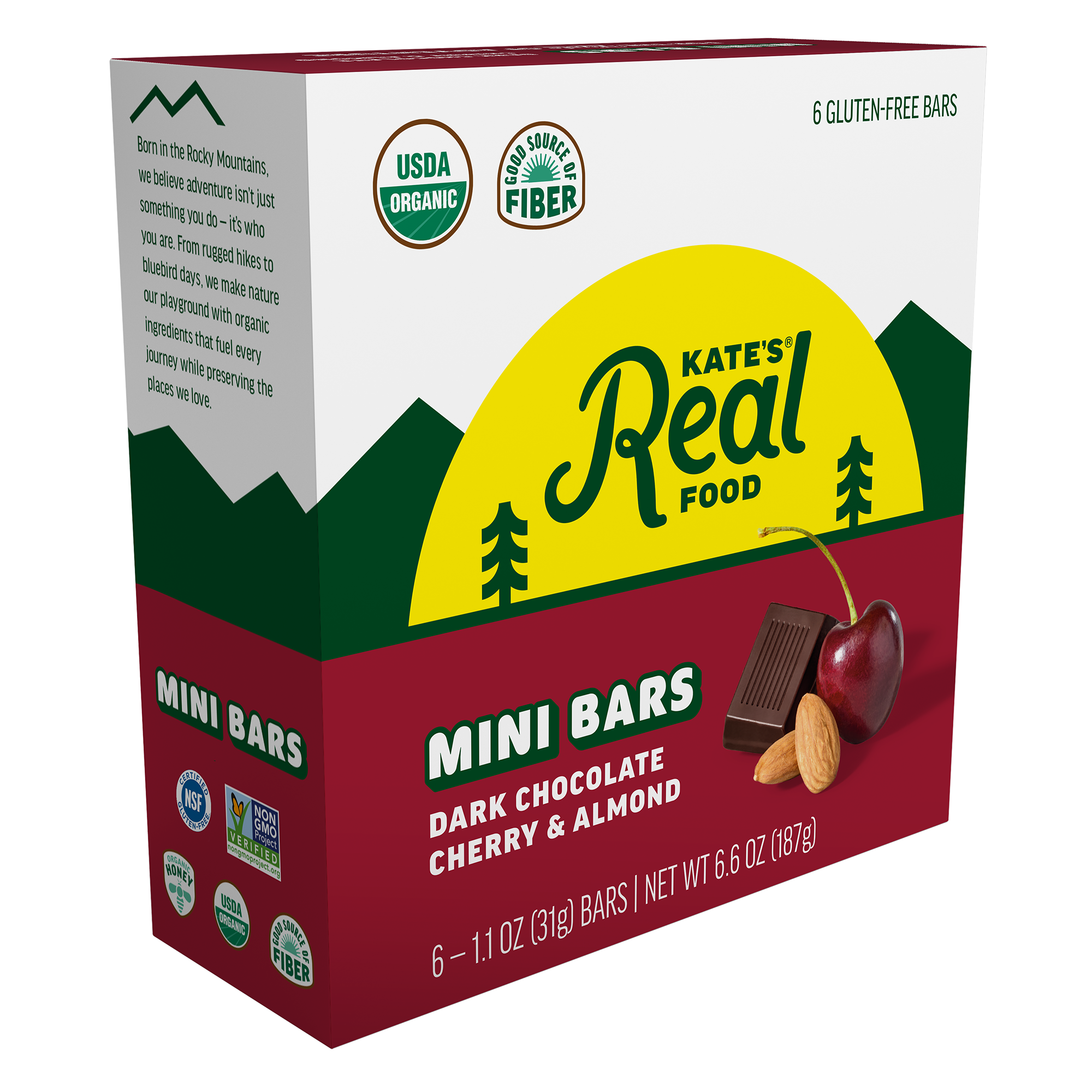 Dark Chocolate Cherry & Almond 6-Pack Minis | 1 Master Case