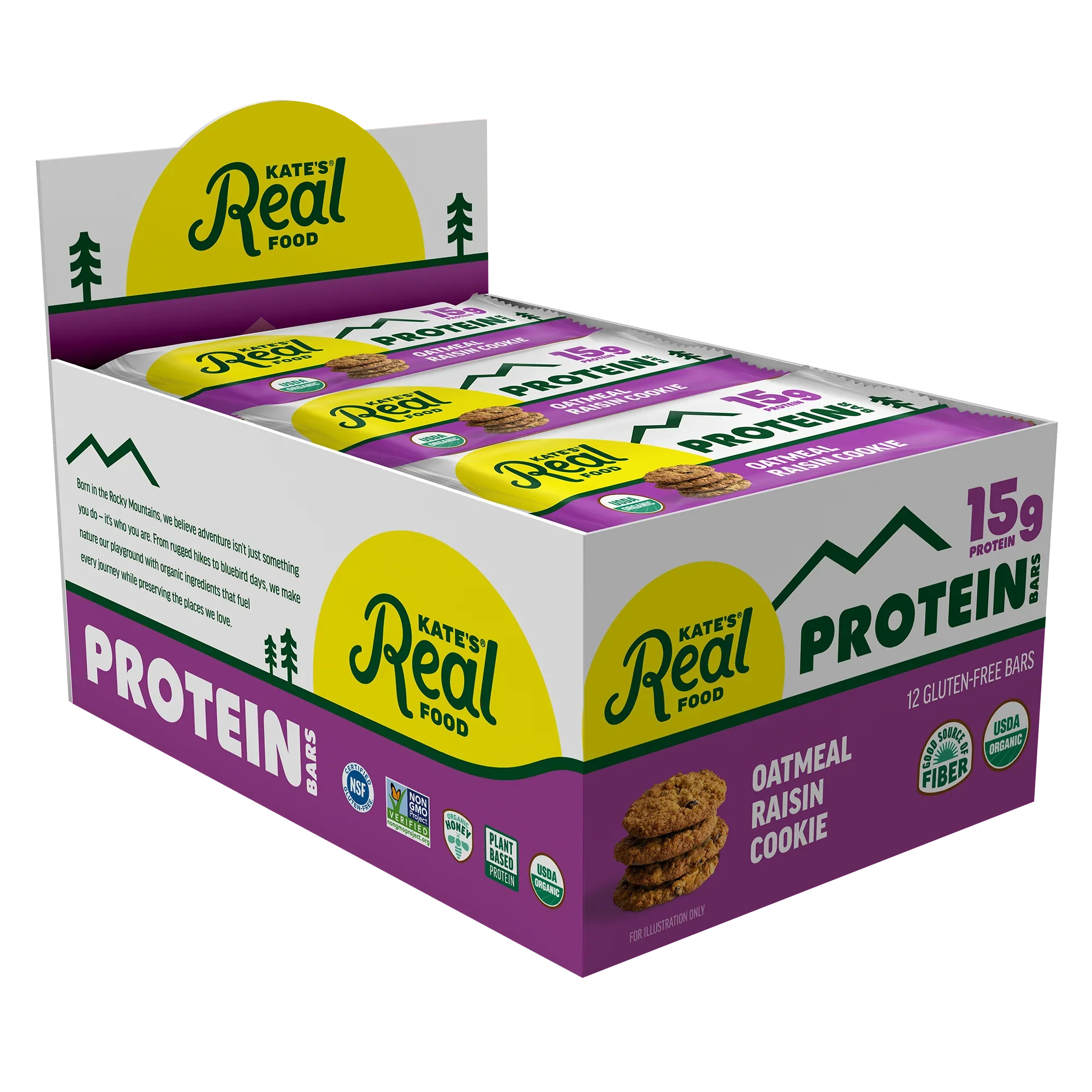 Oatmeal Raisin Cookie Protein Bar