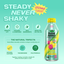 Raspberry Lemon Yerba Mate - 150 mg Caffeine, 12 Bottles