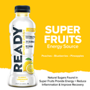 Ready Sports Drink Light - Classic Lemonade (12 x 16.9oz)