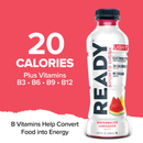 Ready Sports Drink Light - Watermelon Lemonade (12 x 16.9oz)