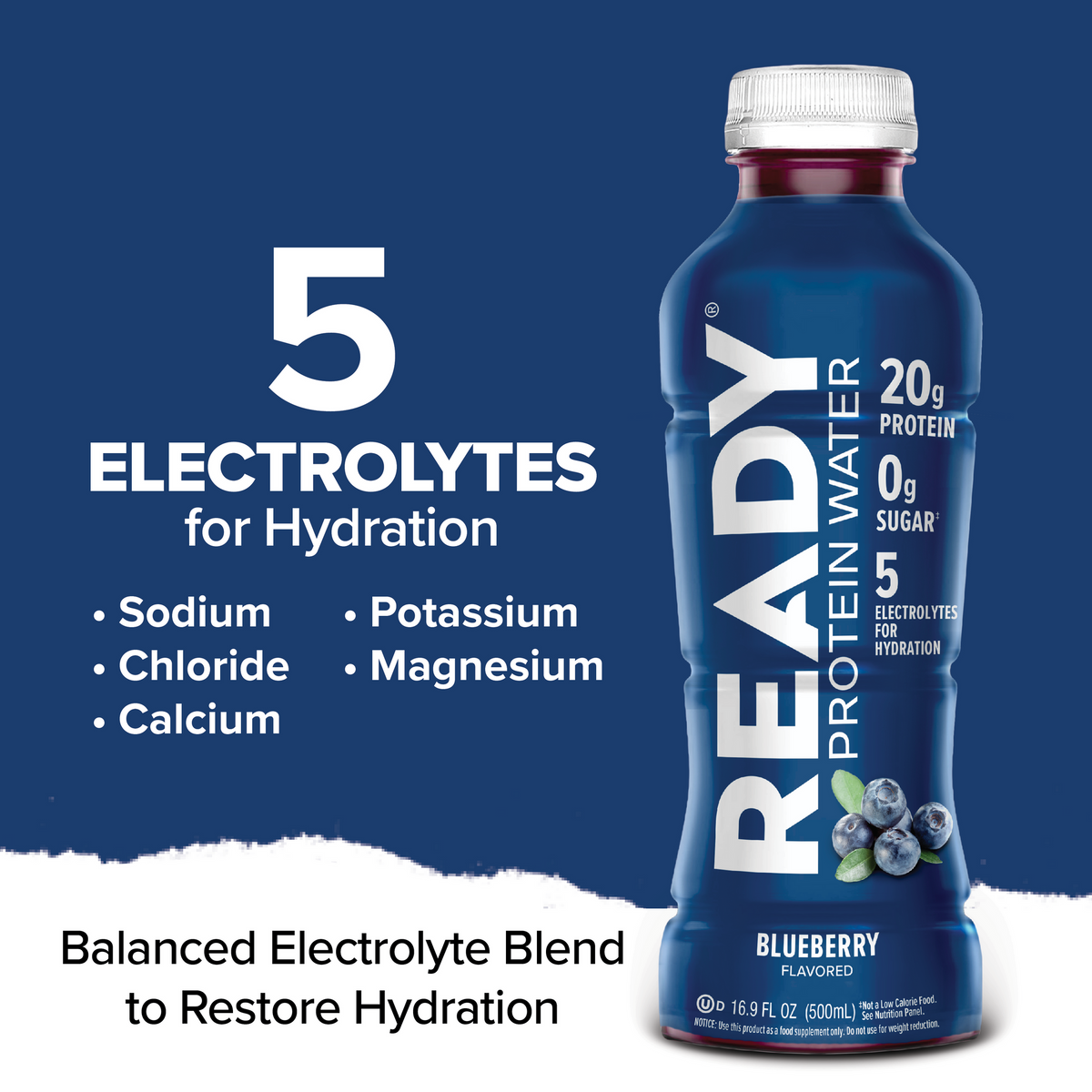 Ready Clear Protein Water 20g - Blueberry (12 x 16.9oz)