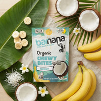 (100g, 12 Pack) Organic COCONUT Banana Bites