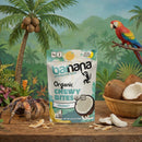 (100g, 12 Pack) Organic COCONUT Banana Bites