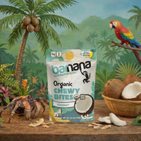 (100g, 12 Pack) Organic COCONUT Banana Bites