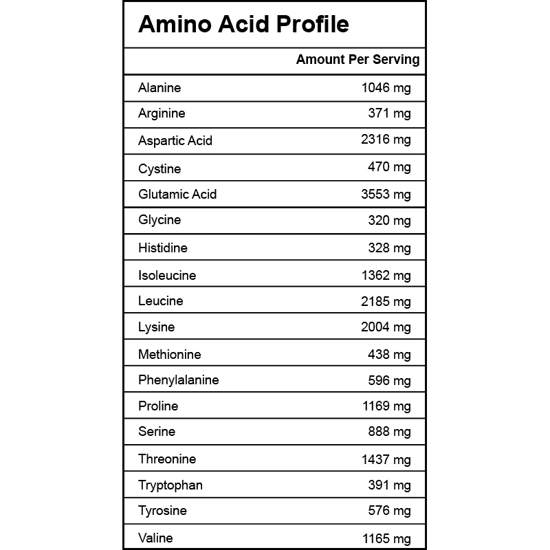 Whey Protein - Unflavored (Wholesale)